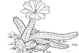 (jin)P- ֲﺆ(jin)Pȫ-(jin)(qing)
