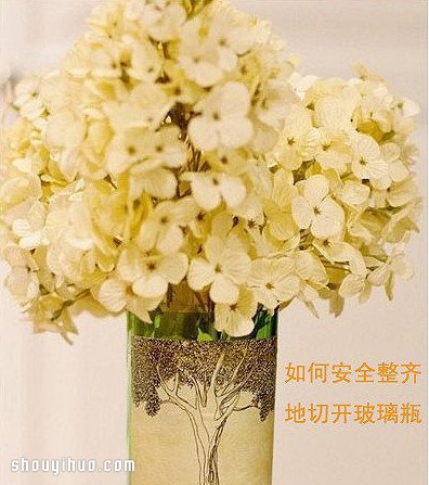 如何安全整齊切割玻璃瓶 廢物利用DIY花瓶 - www.hzjyly.com.cn
